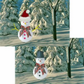 3D Lenticular Postcard (Snow Man)
